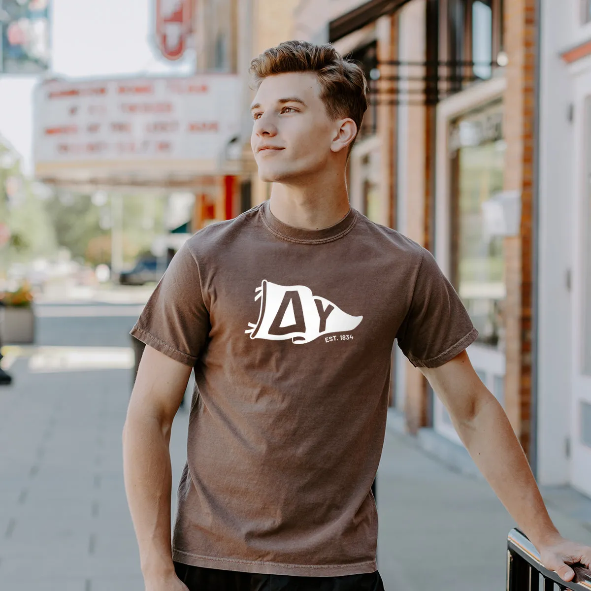 Delta Upsilon Comfort Colors Brown Pennant Short Sleeve Tee